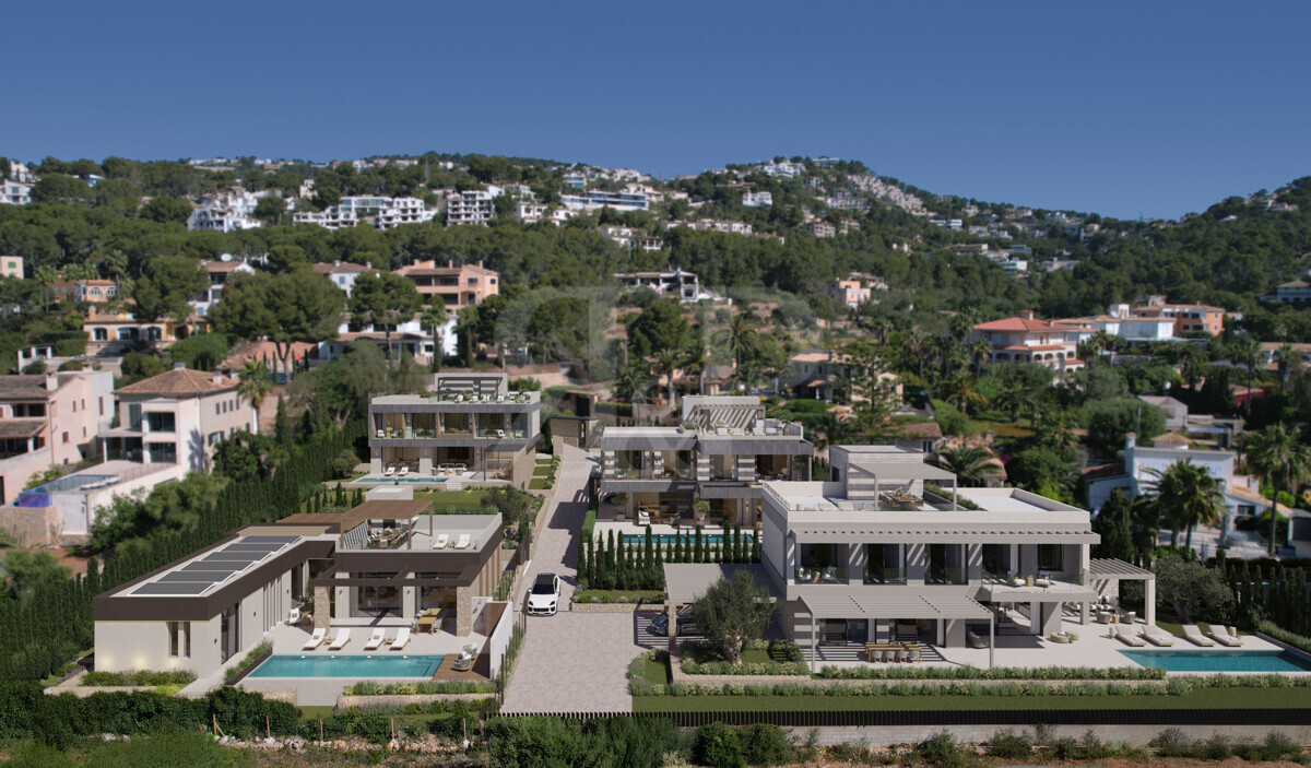 Four Palms 4, Bildergalerie 4