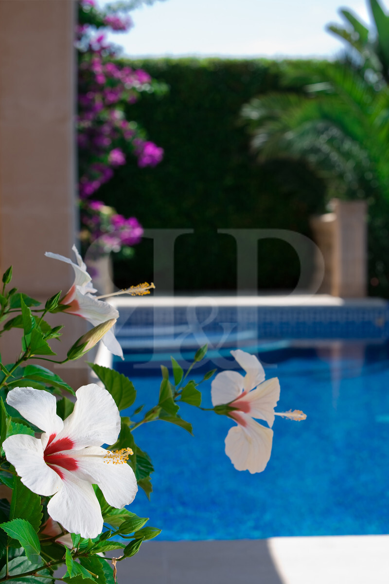 Villa Dragonera, Bildergalerie 10